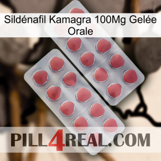 Sildénafil Kamagra 100Mg Gelée Orale 19